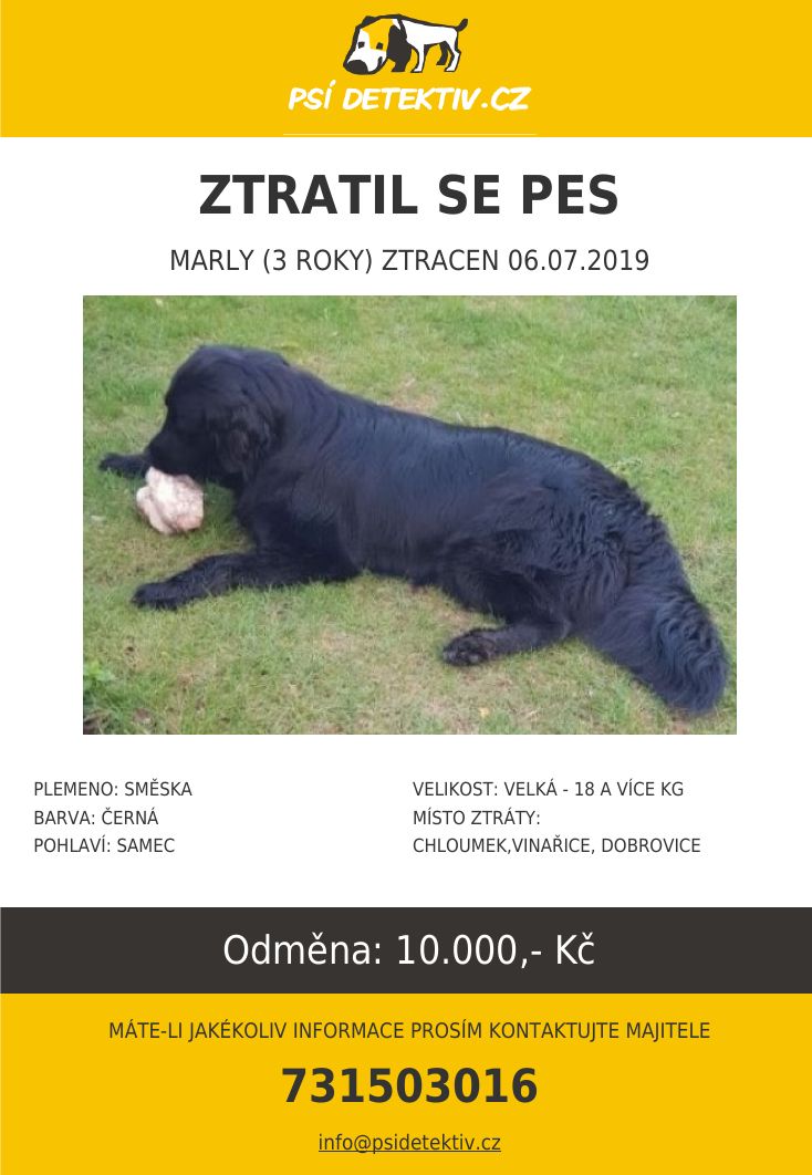 Psi-detektiv-marly-mlada-boleslav-2019-07-06.jpg