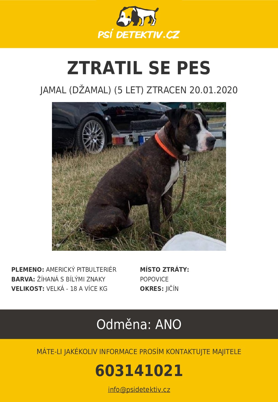 jamal-dzamal-jicin-2020-01-20-33395-psi-detektiv.jpg