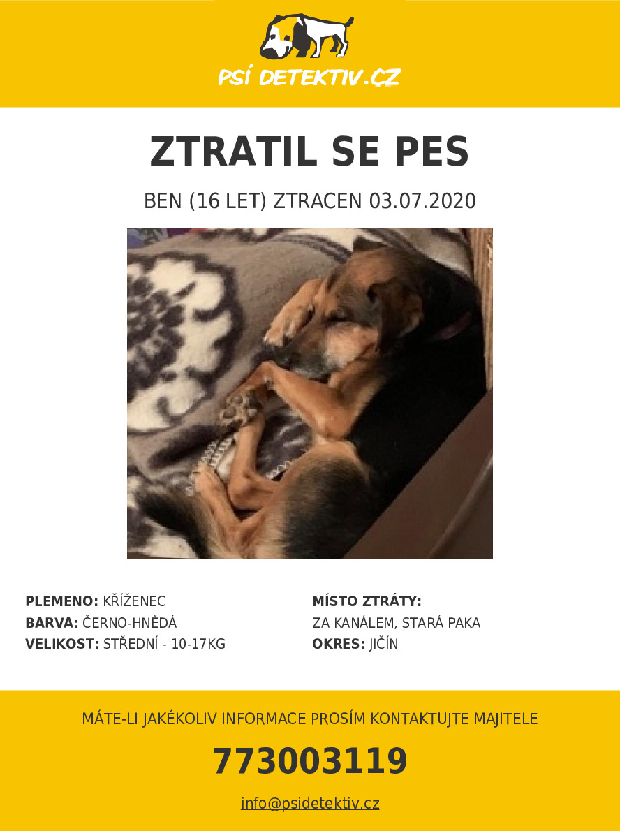ben-jicin-2020-07-03-36897-psi-detektiv (002).jpg