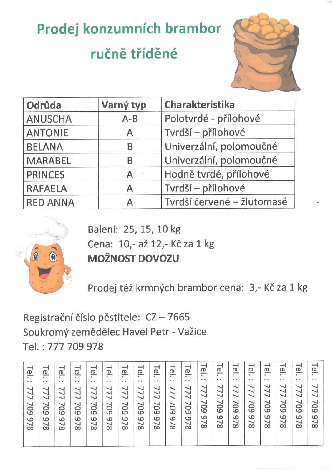 bra.jpg